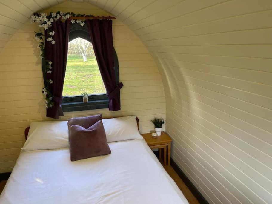 Hotel Belle Vista Glamping & Camping York Exteriér fotografie