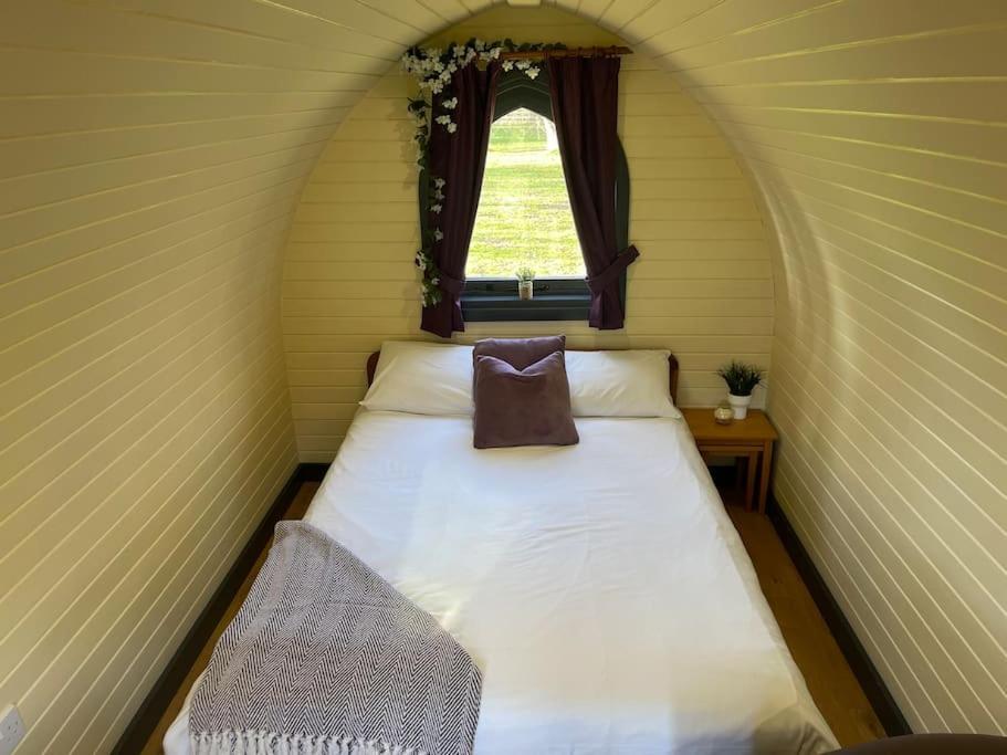 Hotel Belle Vista Glamping & Camping York Exteriér fotografie