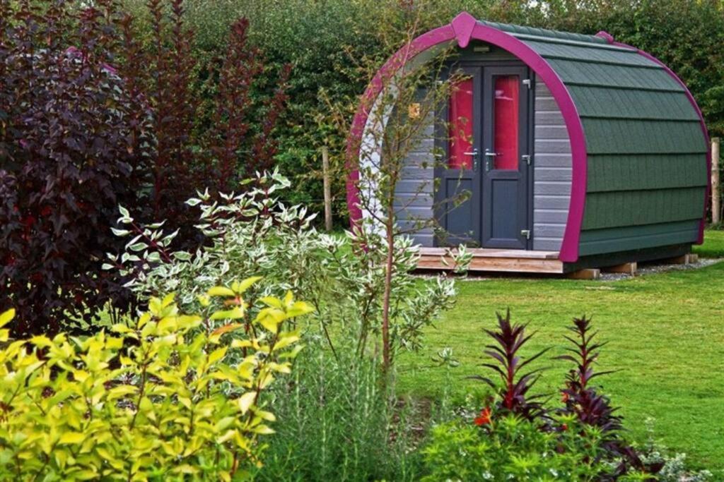 Belle Vista Glamping & Camping York Exteriér fotografie