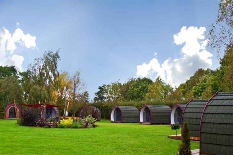 Hotel Belle Vista Glamping & Camping York Exteriér fotografie